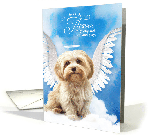 Pet Sympathy Loss of a Dog Havanese Angel card (1925148)