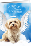 Pet Sympathy Loss of a Dog Havanese Angel card