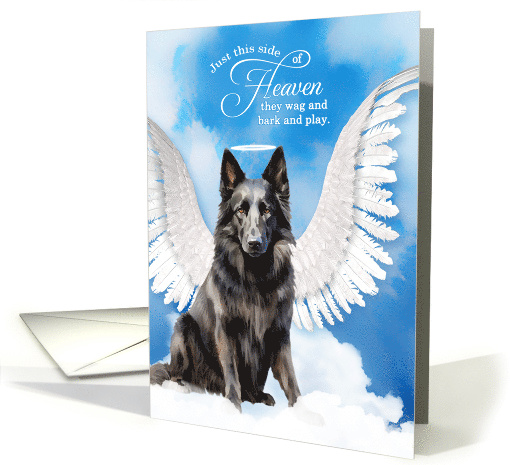 Pet Sympathy Loss of a Dog Belgian Sheepdog Angel card (1925712)