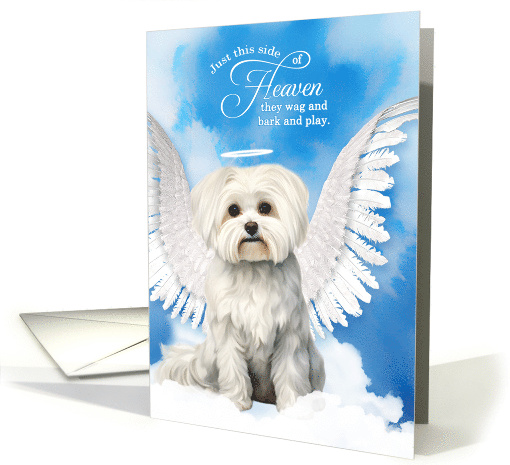 Pet Sympathy Loss of a Dog Maltese Angel card (1925886)