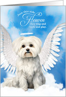 Pet Sympathy Loss of a Dog Maltese Angel card