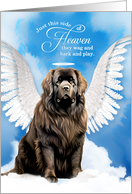 Pet Sympathy Loss of a Dog Brown Newfoundland Angel card