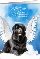 Pet Sympathy Loss of a Dog Black Newfoundland Angel card