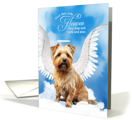 Pet Sympathy Loss of a Dog Norfolk Terrier Angel card (1926158)