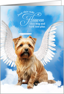 Pet Sympathy Loss of a Dog Norfolk Terrier Angel card