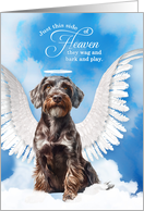 Pet Sympathy Loss of a Dog Wirehaired Pointing Griffon Angel card