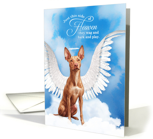 Pet Sympathy Loss of a Dog Pharaoh Hound Angel card (1926476)