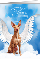 Pet Sympathy Loss of a Dog Pharaoh Hound Angel card