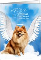 Pet Sympathy Loss of a Dog Red Pomeranian Angel card