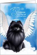 Pet Sympathy Loss of a Dog Black Pomeranian Angel card