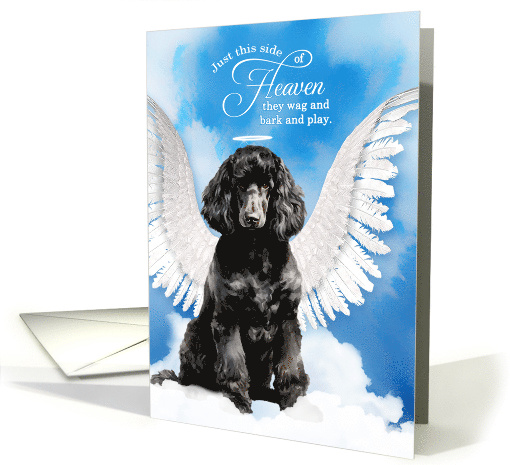 Pet Sympathy Loss of a Dog Black Poodle Angel card (1927380)