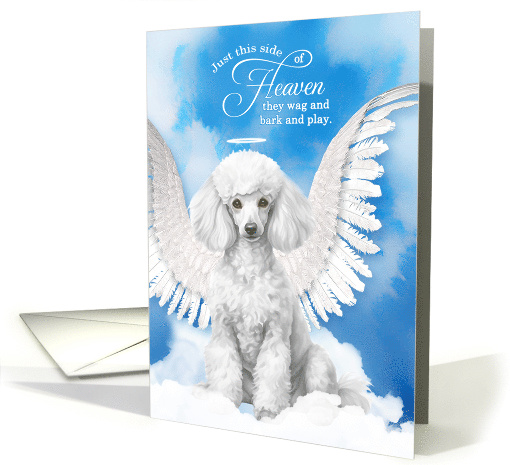 Pet Sympathy Loss of a Dog White Poodle Angel card (1927382)