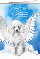 Pet Sympathy Loss of a Dog White Poodle Angel card