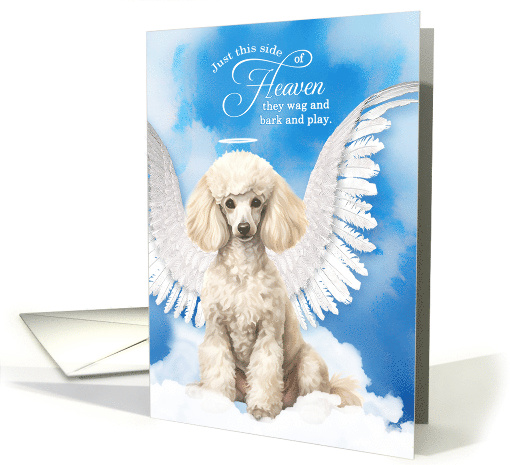 Pet Sympathy Loss of a Dog Cream Poodle Angel card (1927384)