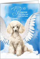 Pet Sympathy Loss of a Dog Cream Poodle Angel card