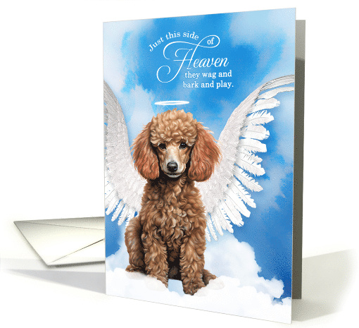 Pet Sympathy Loss of a Dog Apricot Poodle Angel card (1927386)