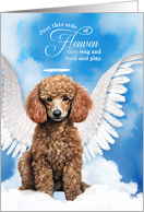 Pet Sympathy Loss of a Dog Apricot Poodle Angel card
