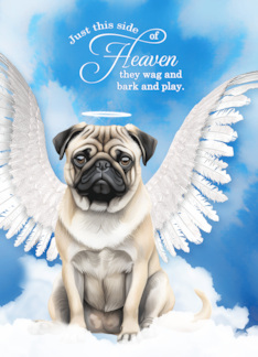 Pet Sympathy Loss of...