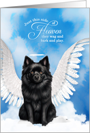 Pet Sympathy Loss of a Dog Schipperke Angel card