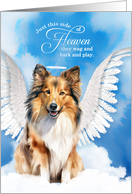 Pet Sympathy Loss of a Dog Shetland Sheepdog Angel card