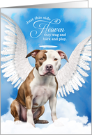 Pet Sympathy Loss of a Dog Fawn and White Staffordshire Terrier card