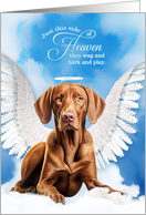Pet Sympathy Loss of a Dog Hungarian Vizsla Angel card