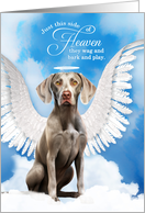 Pet Sympathy Loss of a Dog Weimaraner Angel card