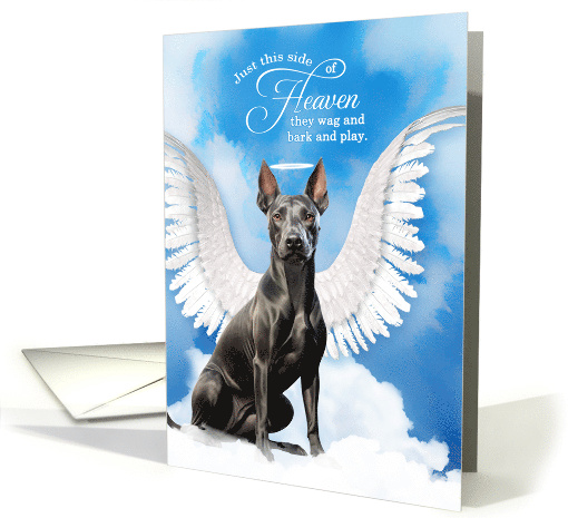 Pet Sympathy Loss of a Dog Xoloitzcuintli Mexican Hairless Angel card
