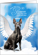 Pet Sympathy Loss of a Dog Xoloitzcuintli Mexican Hairless Angel card