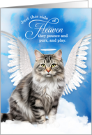 Pet Sympathy Loss of a Cat American Bobtail Angel card