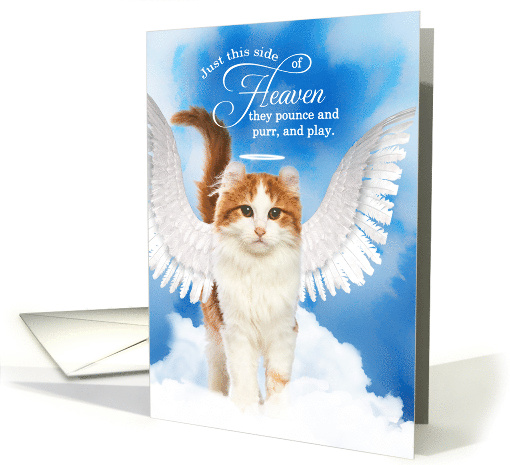 Pet Sympathy Loss of a Cat American Curl Angel card (1928566)