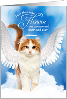 Pet Sympathy Loss of a Cat American Curl Angel card