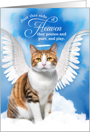 Pet Sympathy Loss of a Cat American Shorthair Angel card