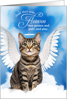 Pet Sympathy Loss of a Cat American Wirehair Angel card