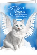 Pet Sympathy Loss of a Cat Turkish Angora Angel card