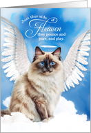 Pet Sympathy Loss of a Cat Birman Angel card