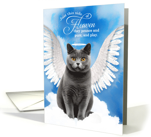 Pet Sympathy Loss of a Cat British Shorthair Angel card (1929004)