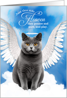 Pet Sympathy Loss of a Cat British Shorthair Angel card