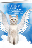 Pet Sympathy Loss of a Cat Burmilla Angel card