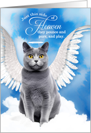 Pet Sympathy Loss of a Cat Chartreux Angel card