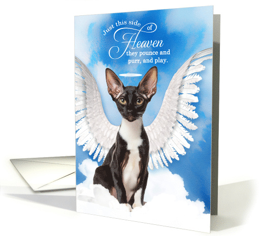Pet Sympathy Loss of a Cat Cornish Rex Angel card (1929310)
