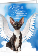 Pet Sympathy Loss of a Cat Cornish Rex Angel card