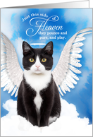 Pet Sympathy Loss of a Cat Domestic Black and White Tuxedo Angel card