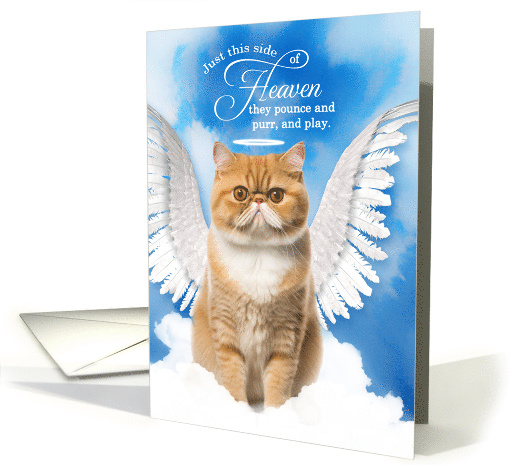 Pet Sympathy Loss of a Cat Orange Tabby Exotic Shorthair Angel card