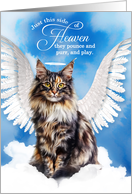 Pet Sympathy Loss of a Cat Calico Maine Coon Angel card