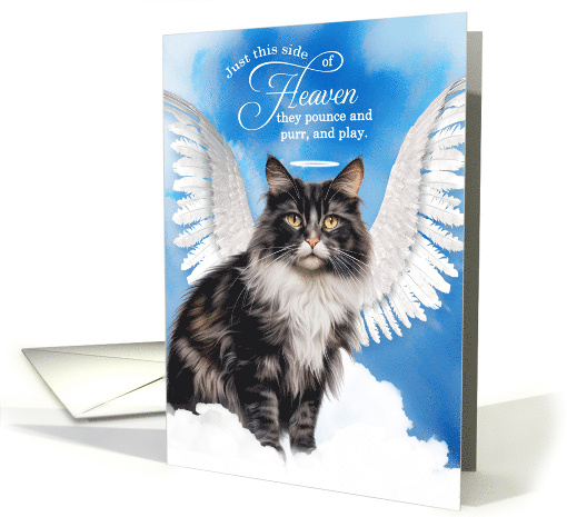 Pet Sympathy Loss of a Cat Bi Color Maine Coon Angel card (1929652)