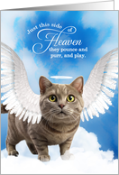 Pet Sympathy Loss of a Cat Munchkin Tabby Angel card