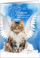 Pet Sympathy Loss of a Cat Tabby Norwegian Forest Cat Angel card