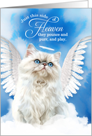 Pet Sympathy Loss of a Cat White Persian Angel card