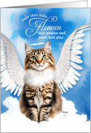 Pet Sympathy Loss of a Cat Ragamuffin Angel card